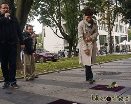 Aleja Bluesa 2013